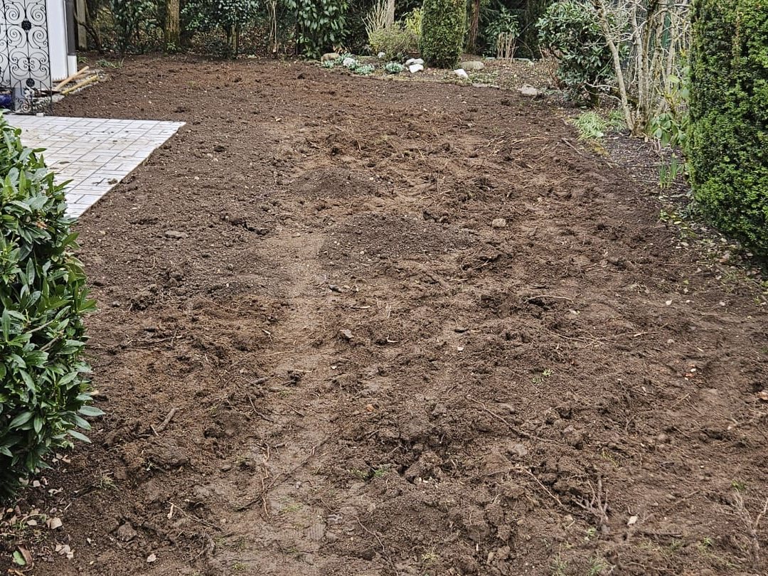 Gartenfläche vor der Neuanlage: offener, aufbereiteter Boden neben einer gepflasterten Terrasse